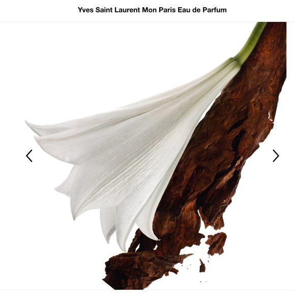 🌷NEW🌷 Yves Saint Laurent Mon Paris Spray 1.2 mL - Picture 8 of 9